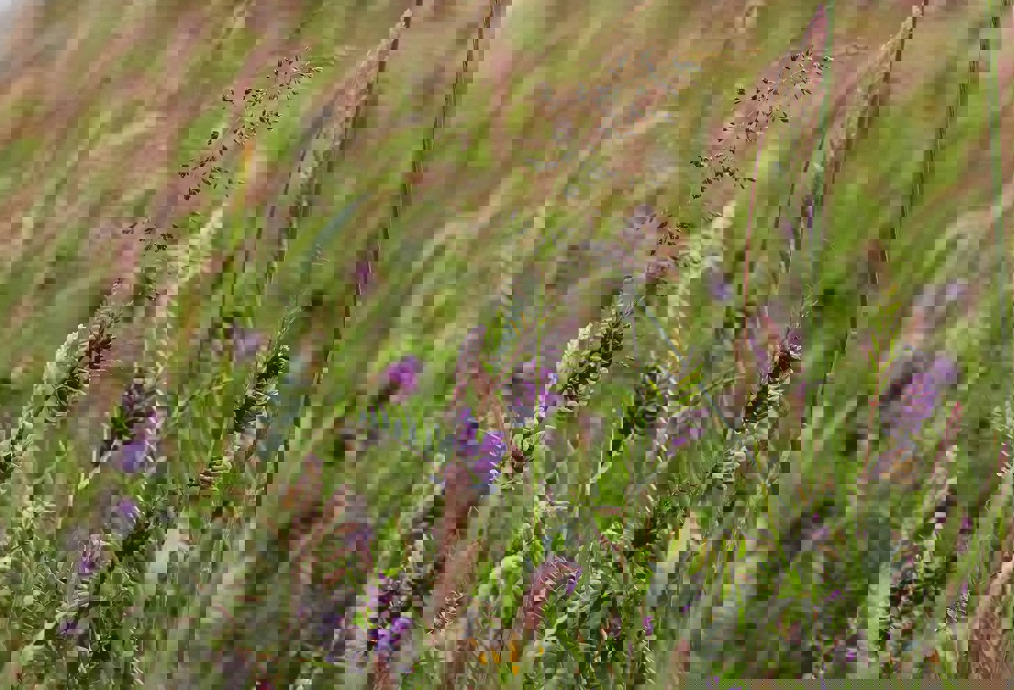 Monika Karaliunaite Ujadykeuyb0 Unsplash