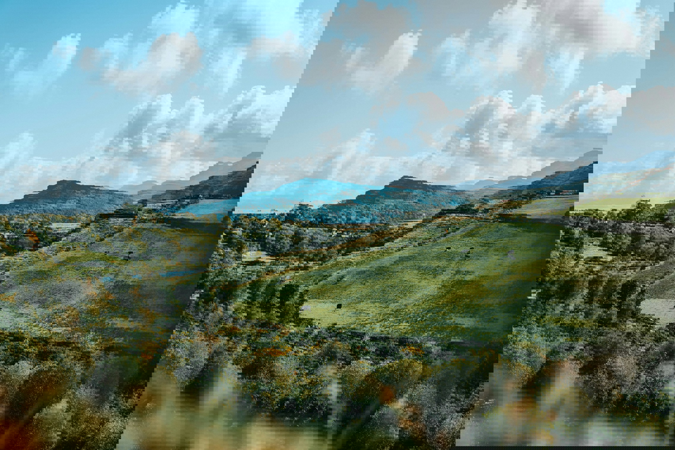 Field1